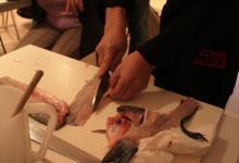 img_3399.jpg